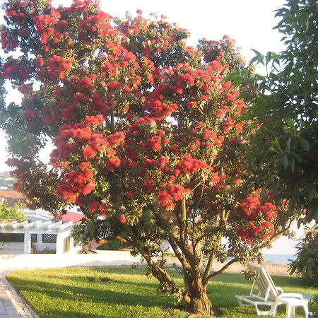 Guest house A Casinha Areia Branca