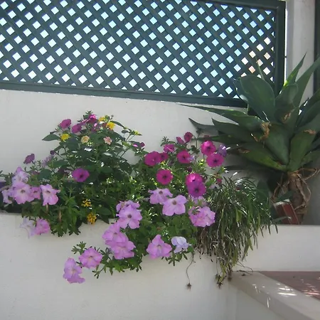 A Casinha